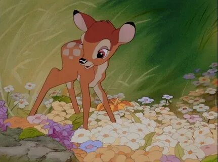 Can You Match The Flower To The Disney Movie? Disney, Bambi 