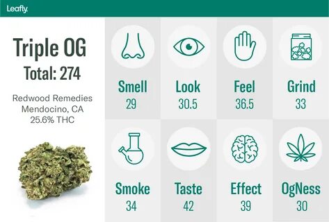 The best OG Kush in California—Leafly’s critic picks 2019 42