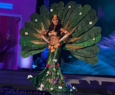 Photos from 2014 Miss Universe National Costume Show - E! On