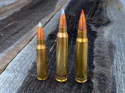 Elk Cartridge Showdown: .308 Win vs. .300 Win. Mag. vs. 338.