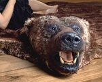 Bear Skin Rug With Head Fake