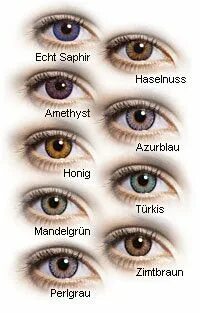 augenfarben liste - Google-Suche Augen farbe, Augenfarbe, Au