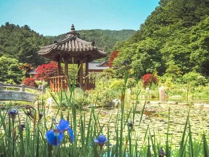 13 Most Beautiful Botanical Gardens in Asia for Nature Lover