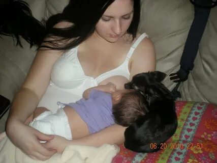 Porno Woman Breastfeeding Milk Puppy.