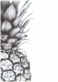 Pineapple Biro Print Etsy in 2021 Pineapple drawing, Natural