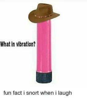 What in Vibration? Fun Fact I Snort When I Laugh Meme on ast