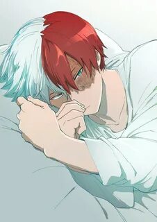 Todoroki Shouto Аниме Amino Amino