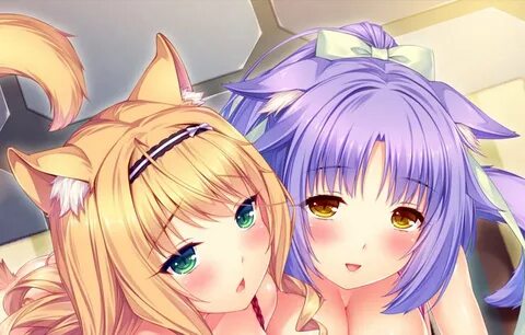 NEKOPARA Vol.3 - 18+ Adult Only Content / Gameru.net