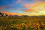 12 Most Instagrammable Spots in Temecula Valley