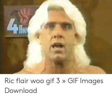 🅱 25+ Best Memes About Ric Flair Woo Ric Flair Woo Memes