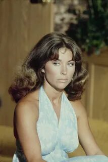 Michele Carey Related Keywords & Suggestions - Michele Carey
