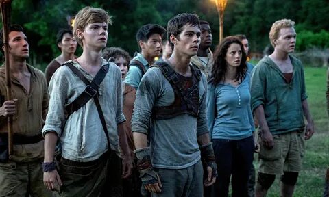 The Maze Runner review - jog on Maze runner, Maze runner mov