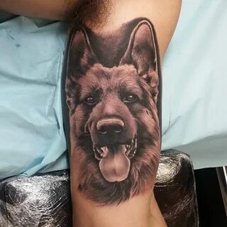 Pin on German Shepherds