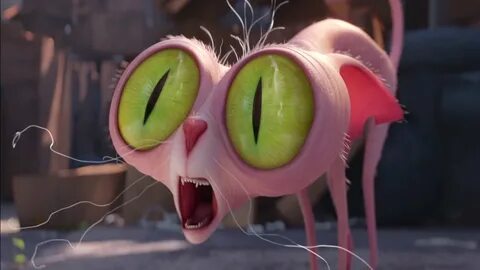 The Secret Life of Pets Trailer: The Secret Life Of Pets: Bo