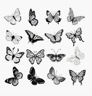 Third over 2nd to last row Butterfly tattoo ideas Татуировка