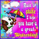 Rain Or Shine, I Hope You Have A Great Wednesday wednesday w