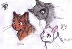 Warrior Cat Drawings at PaintingValley.com Explore collectio