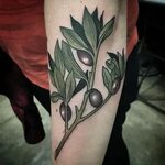 Wonderland Tattoo on Instagram: "Sweet #olivebranch done by 