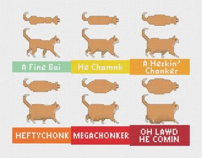 Cat Size Chart Oh Lawd He Comin