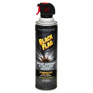 How To Use Black Flag Wasp Spray