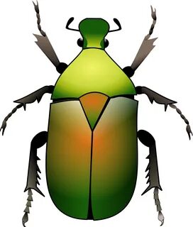 Beetle clipart green beetle, Picture #93784 beetle clipart g
