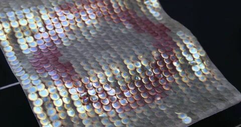 elissa brunato makes bio-iridescent sequins from wood as an 