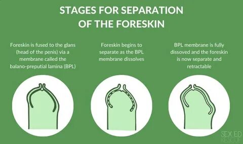 Penis and foreskin care: from babies to teens