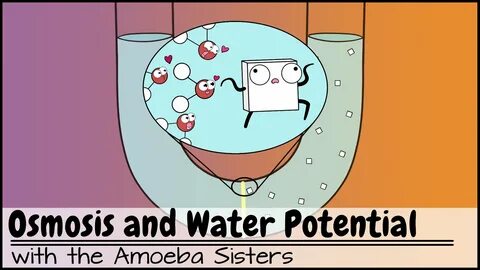 Amoeba Sisters on Twitter: "JUST RELEASED a new video!! http