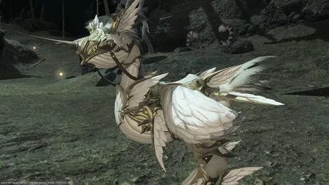 Rozen Ornstein 日 記"Love your Chocobo Day!" FINAL FANTASY XIV