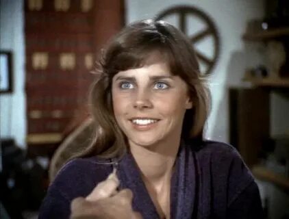 Jan Smithers Wiki / Jan Smithers Net Worth Former Actress Sa