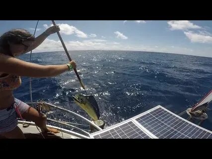 E54: Catching and Drying Mahi Underway in the Pacific - YouT