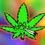 WEED CHANNEL - YouTube