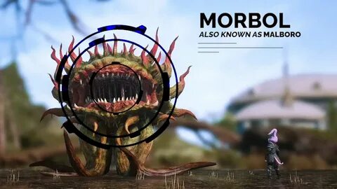 Morbol Mount Journey BEGINS - YouTube