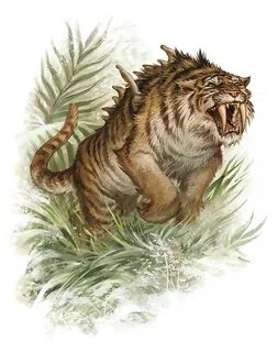 Dire tiger Forgotten Realms Wiki Fandom