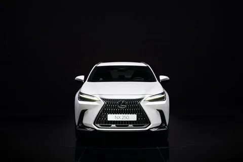 Кроссовер Lexus NX в новом кузове 2022 года - фото, техничес