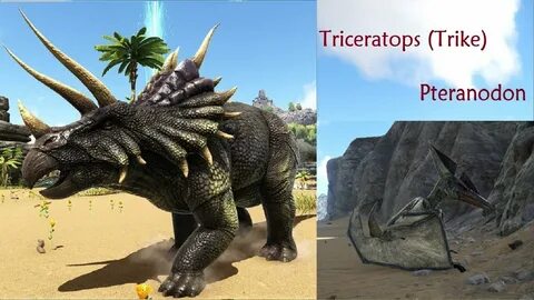 Pteranodon / Triceratops Taming 2018 Un-Official PvP ARK: Su