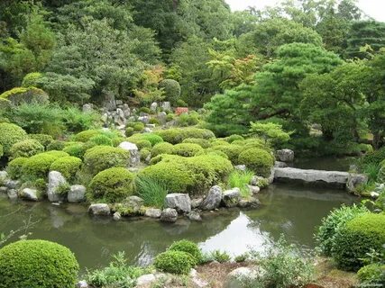 Японский сад ландшафтный дизайн.