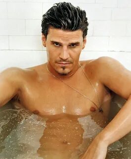 David Boreanaz - Maaaan, I think I wanna have your baby - Li