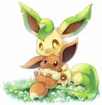 🌿 Leafeon 🌿 Wiki Pokémon Amino Em Português Amino