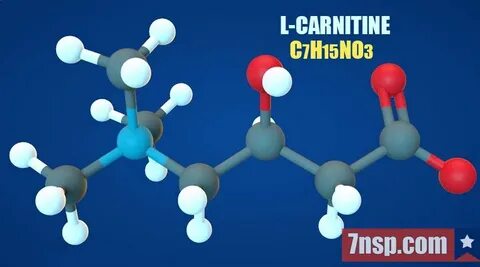 Натуральные препараты, бад, содержащие L-карнитин