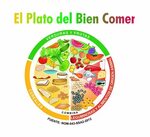 El Plato del Bien Comer - Federación Mexicana de Diabetes, A