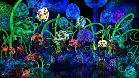 Pin Trippy Mushroom Widescreen Wallpaper Hawaii Dermatology 