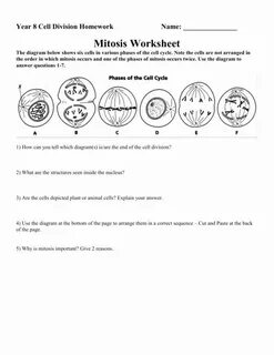 50 Cells Alive Worksheet Answer Key Chessmuseum Template Lib