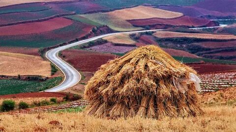 Hay Pile In Field, Yunnan by William Yu Photography