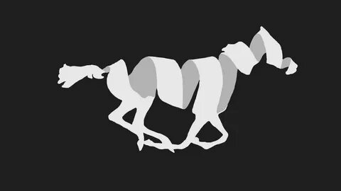 Animation Students Rotoscope Footage of a Galloping Horse Fr