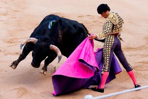 Copilacion de corridas