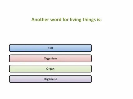 Characteristics of living things - ppt video online download