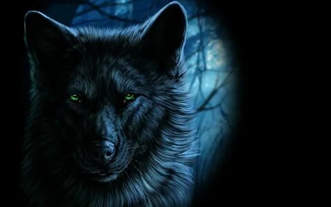 Wolf Wallpaper Hd Resolution Wolf wallpaper, Wolf with blue 