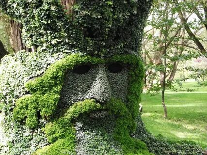 35 Most Funniest Tree Face Pictures That Will Make You Laugh