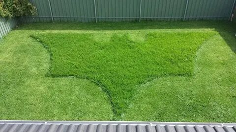 The bosses wife asked him to mow the lawn. This is what she 